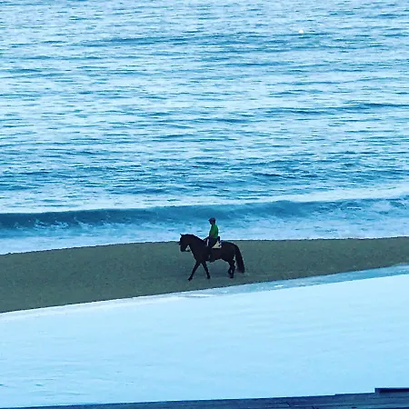 Biarritz *