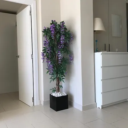 Biarritz Bed & Breakfast *